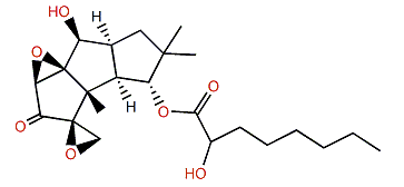 Coriolin C